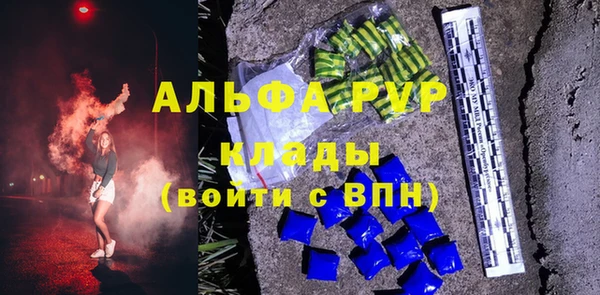 стаф Вязьма