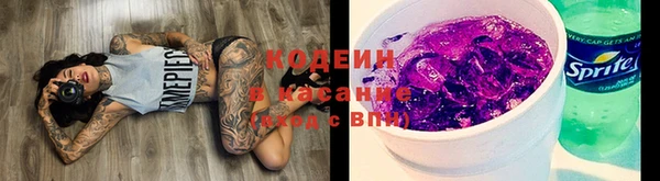 эйфоретик Вяземский
