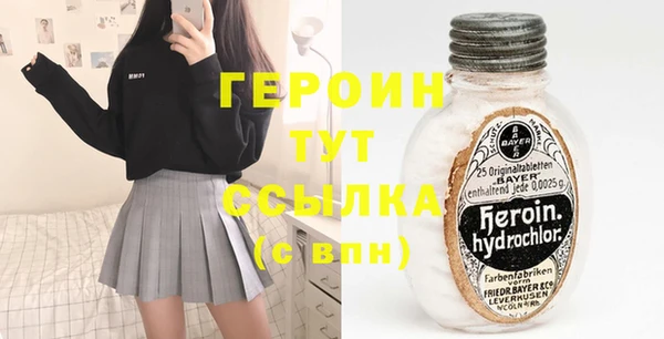 стаф Вязьма