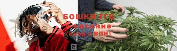 эйфоретик Вяземский