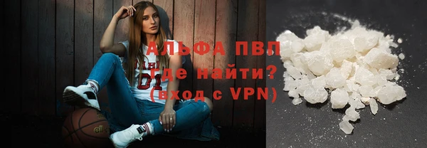эйфоретик Вяземский