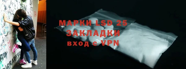 эйфоретик Вяземский