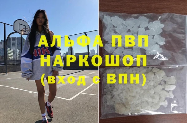 стаф Вязьма