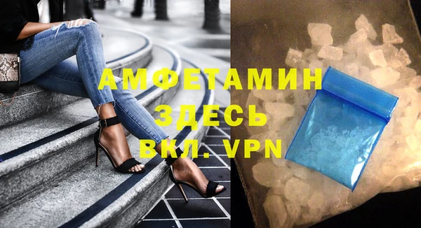 стаф Вязьма