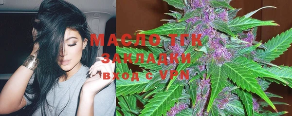 стаф Вязьма