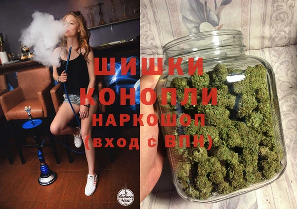 стаф Вязьма