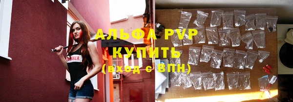 эйфоретик Вяземский