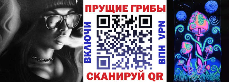 Псилоцибиновые грибы MAGIC MUSHROOMS  Купить закладки  Поронайск 